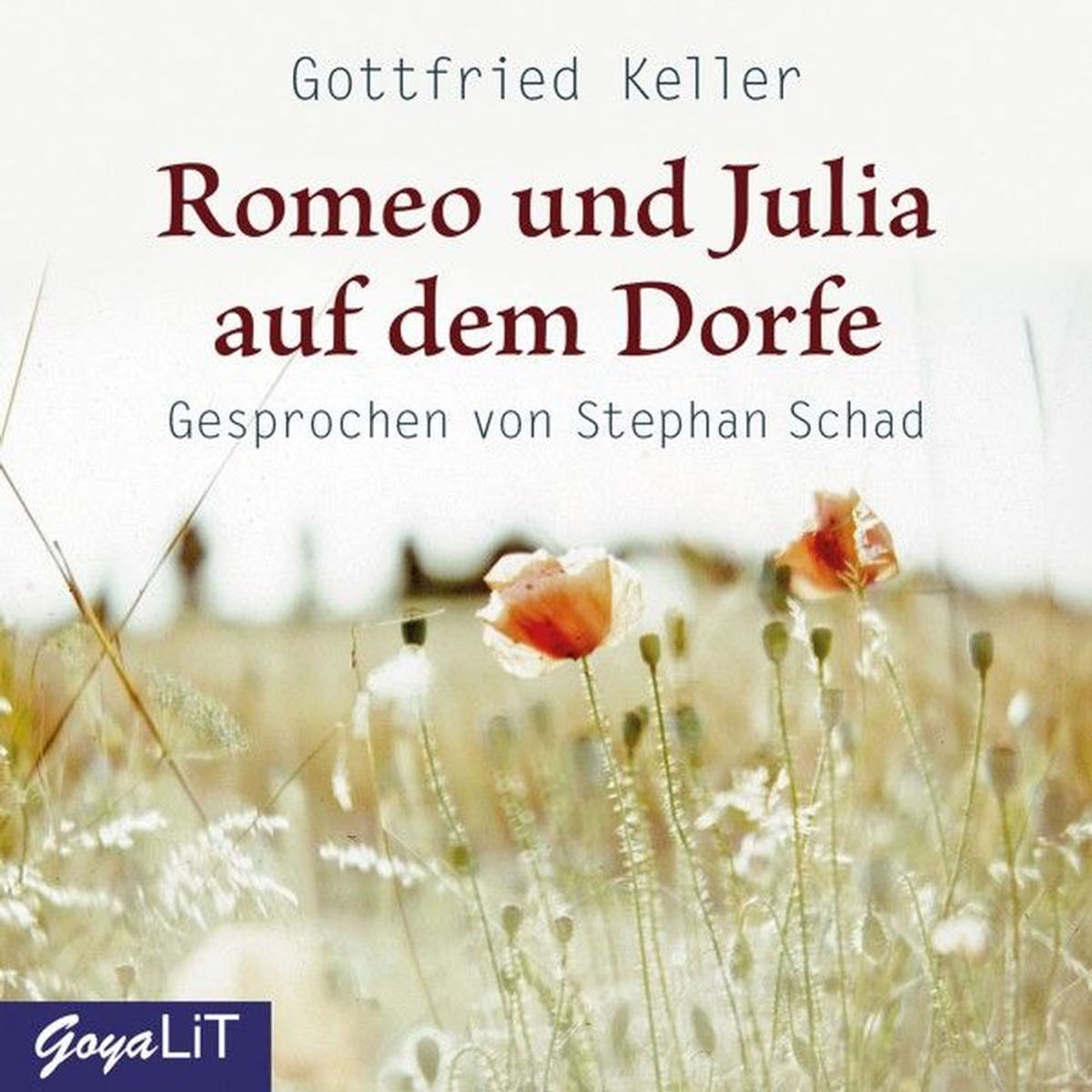 zusammenfassung romeo und julia auf dem dorfe