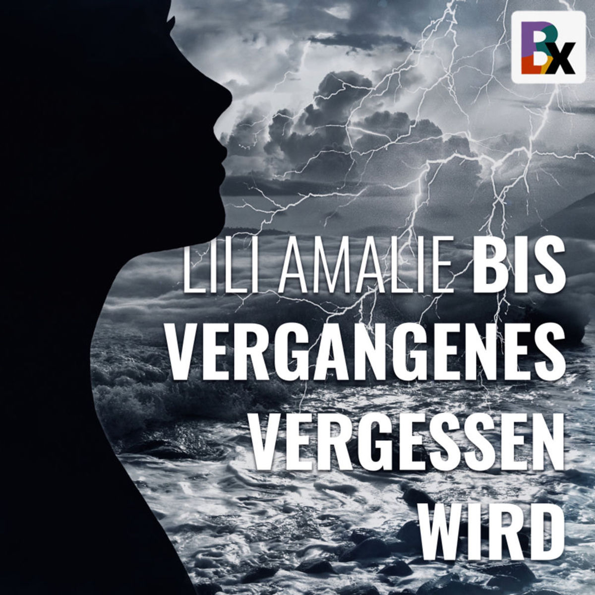 Schlssel Vergessen Tr Ffnen