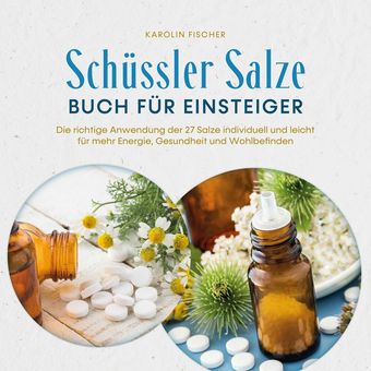 Schüssler Salze Buch für Einsteiger: Die richtige Anwendung der 27 Salze individuell und leicht für mehr Energie, Gesundheit und W