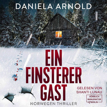 Ein finsterer Gast - Norwegen-Thriller