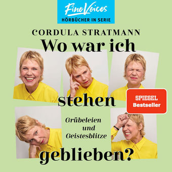 Wo war ich stehen geblieben? - Grübeleien und Geistesblitze