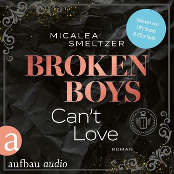 Broken Boys Can't Love - College Sports Romance - The Aldridge Boys, Band 5