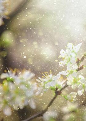 Alle Jahre früher…