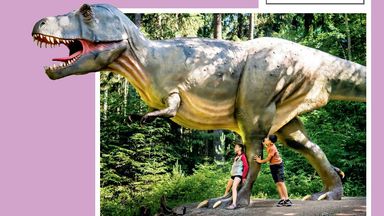 Bücher, Spiele, Filme und Co.