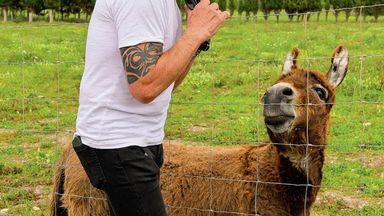 ENDLICH WIEDER INSEL-FEELING