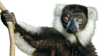 EINER FÜR ALLE …...