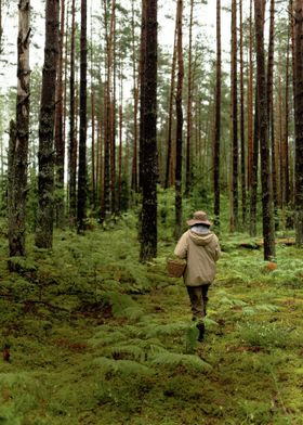 FOREST TO TABLE