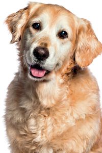 AUF FRISCHER TAT ERTAPPT