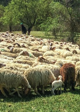 TIERISCHE WARNUNG