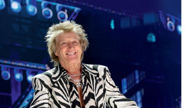 »Papa Stew« liebt sie alle