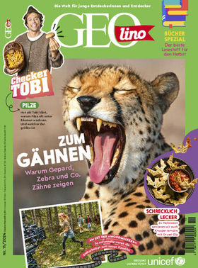 Cover GEOLINO,Nr. 11 / 2024