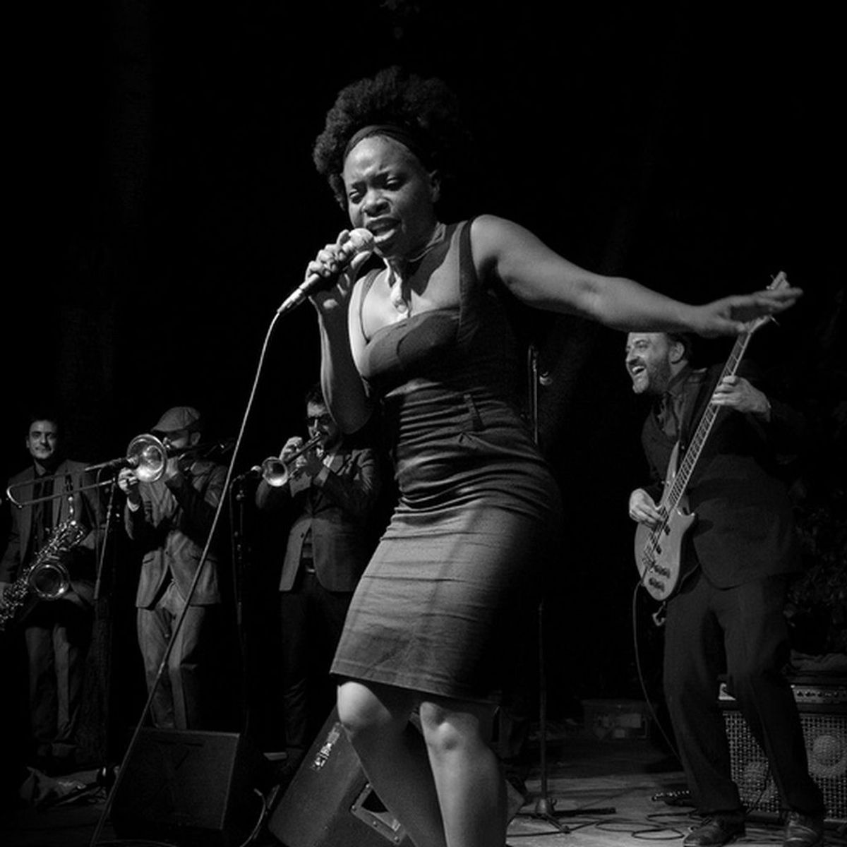 Freedonia Songs streamen RTL+