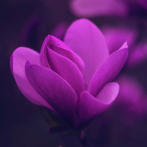 ''