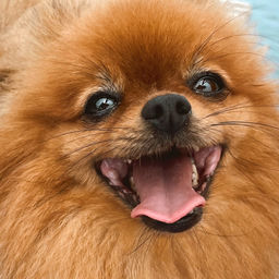 ''