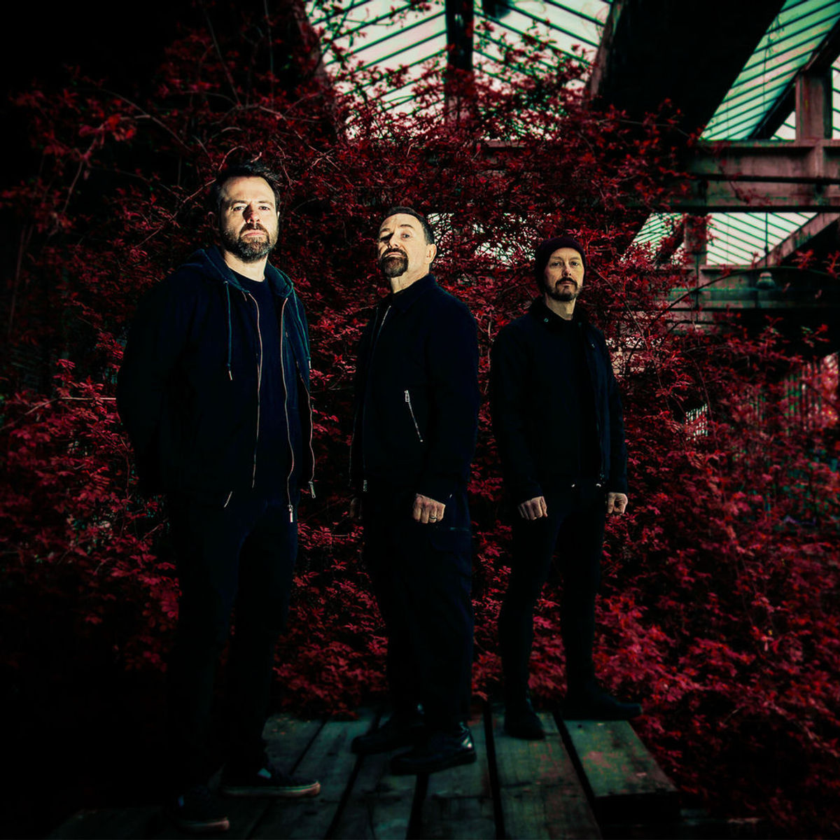 Therapy? Songs streamen RTL+