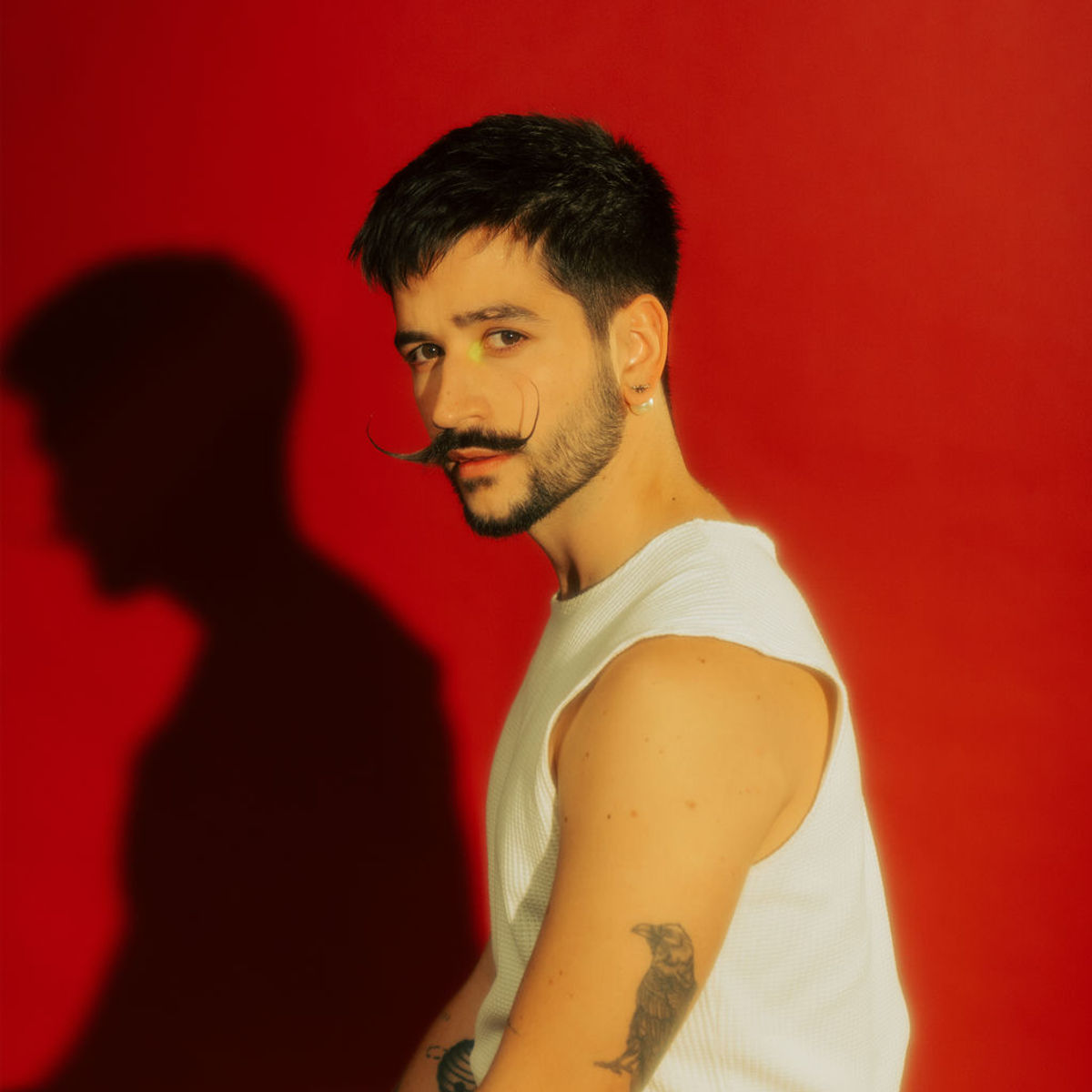 Streame Songs von Camilo RTL+