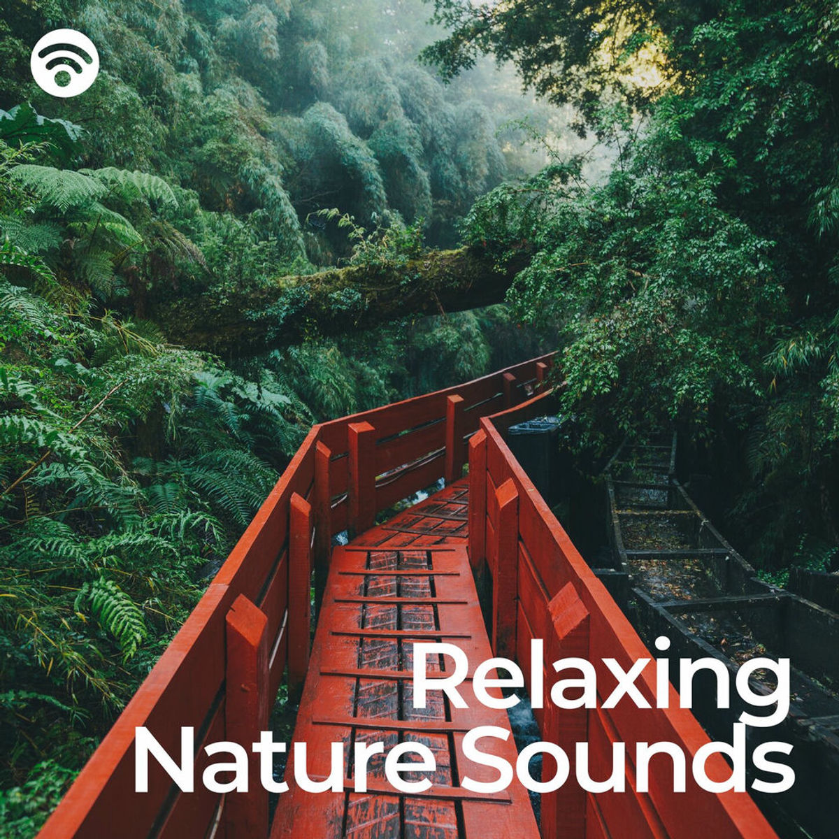 Nature Songs streamen RTL+