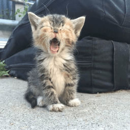 ''