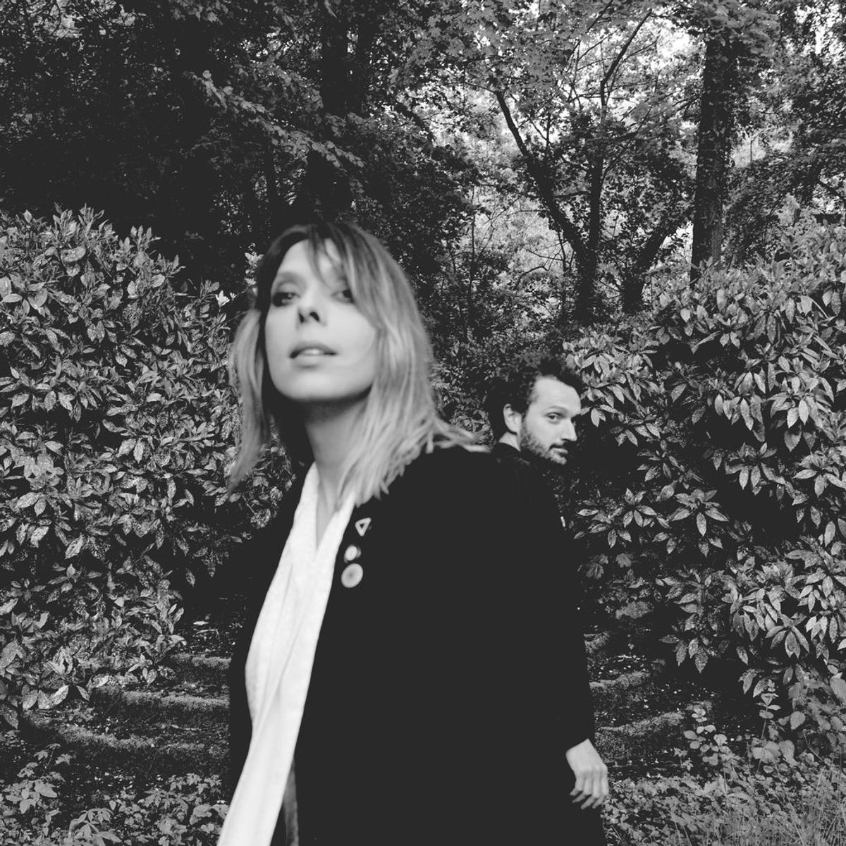 Cats On Trees Songs streamen RTL+