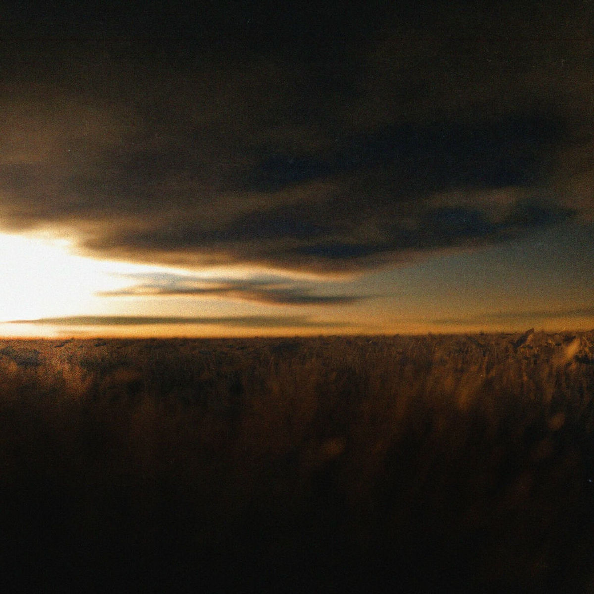 nthng Songs streamen RTL+