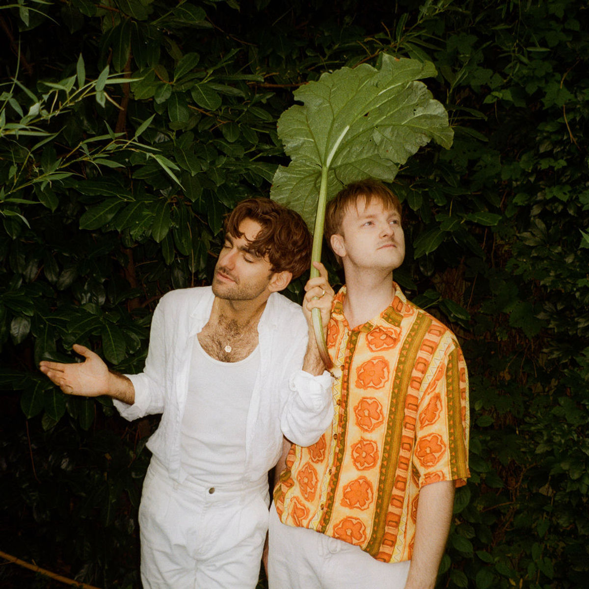 Mar Malade Songs streamen RTL+