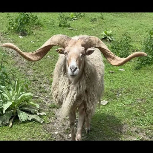 ''