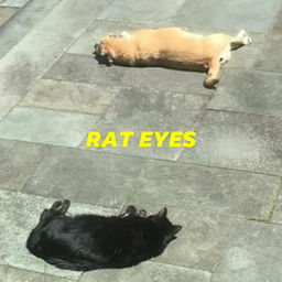 ''