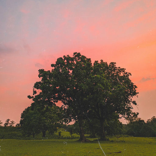 ''