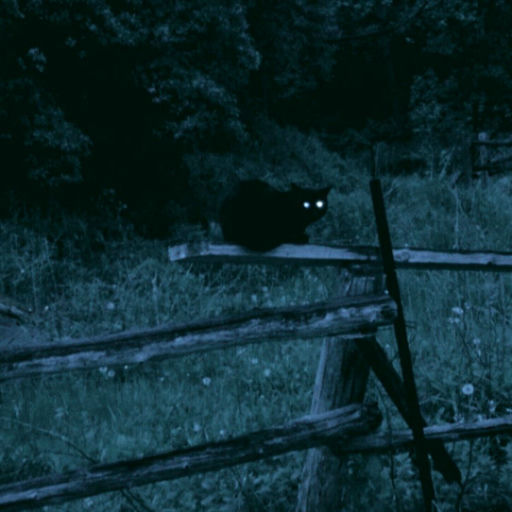 ''