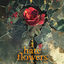 Cover i hate flowers