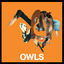 Cover Owls
