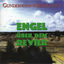 Cover Engel über dem Revier
