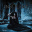 Cover Insolent