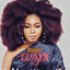 Cover Closer