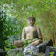 Cover Buddha's Garden