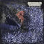 Cover Entropic Self Immolation