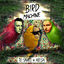 Cover Bird Machine