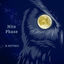 Cover Nite Phase