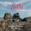 Cover Handel: Silla