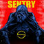 Cover THE VOID (Sentry)