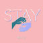 Cover Stay