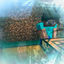 Cover A Minecraft parody of Glad You Came by The Wanted