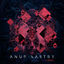 Cover Illuminate