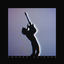 Cover Voodoo Science