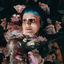 Cover BLOSSOM