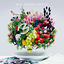 Cover 5
