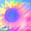 Cover Magenta