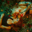 Cover My Perfect