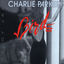 Cover Bird After Dark