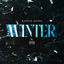 Cover Winter